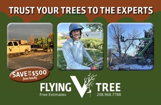 Flying V Tree Service