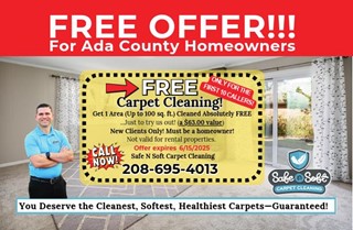 Safe N Soft Carpet Cleaning