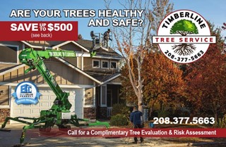 Timberline Tree Services