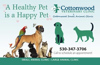 Cottonwood Vetrinary Clinic