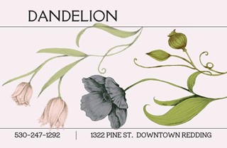 Dandelion Unique Gifts & Clothing