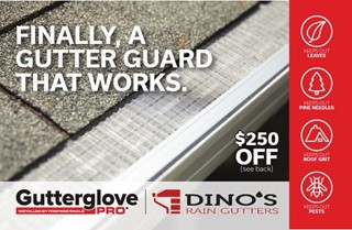 Dino's Rain Gutters