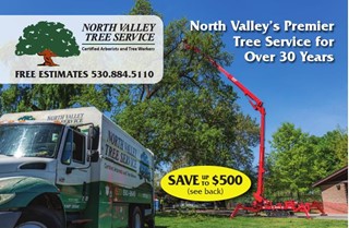 North Valley Tree Service