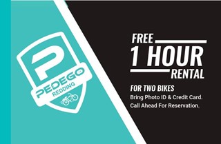 Pedego Electric Bikes