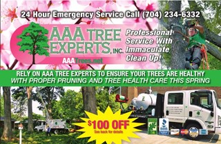 AAA Tree Experts