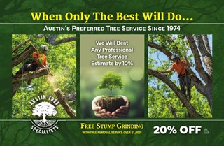 Austin Tree Specialists