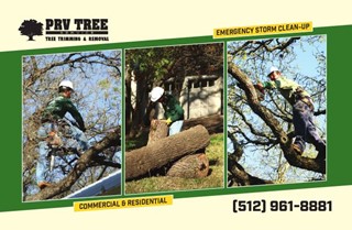 PRV Tree