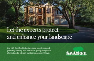 SavaTree