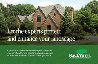 SavaTree