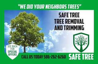 Safe Tree