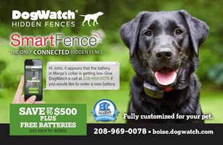 Dog Watch