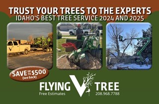 Flying V Tree Service