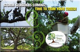 Palmetto Tree Service