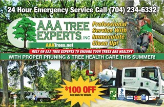 AAA Tree Experts