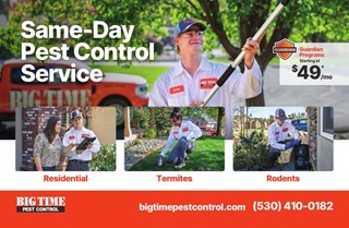 Big Time Pest Control