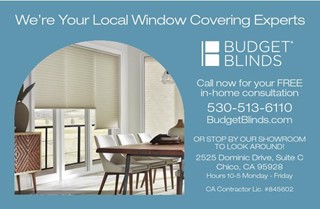 Budget Blinds
