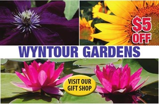Wyntour Gardens